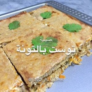 صينية فنو