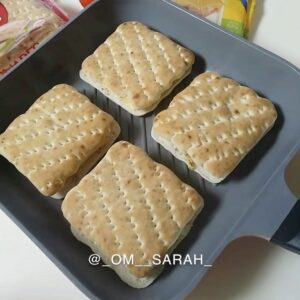 سندويشات سكويرز بالدجاج