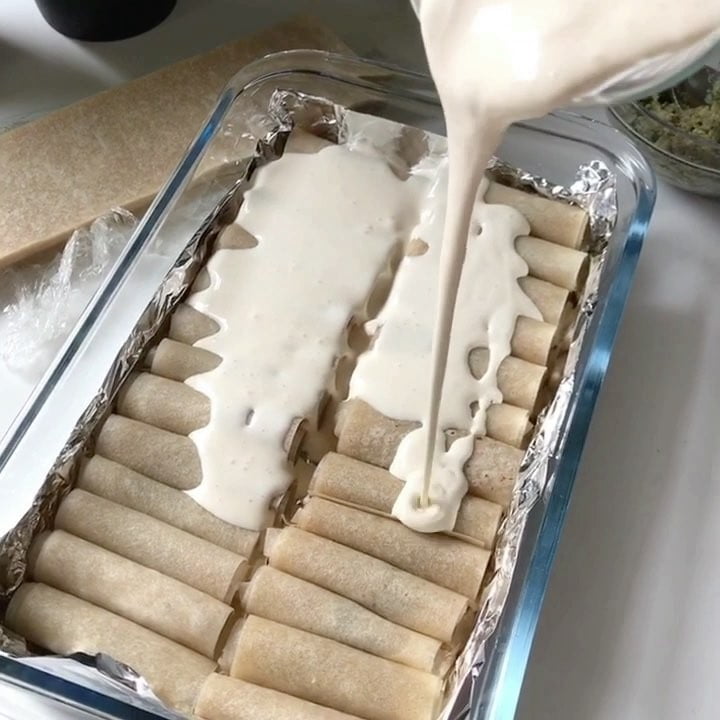 18950397 1523211407738481 3278331335692779520 n