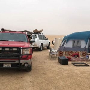 كبسة دجاج على جزر وبصل وطماط
