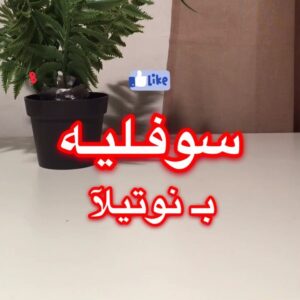 سوڤـليـة بنوتيلا و الآوريو