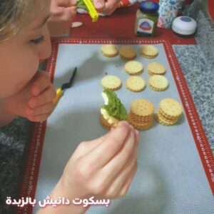 《بسكوت دانيش》