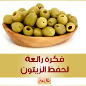 فكرة مميزة لحفظ الزيتون