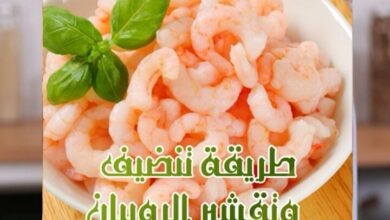 49324186 573053943158268 5402938873954805042 n