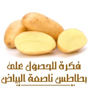 أفكار رائعه لطهي البطاطس