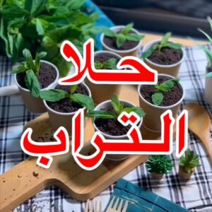 حلا التراب