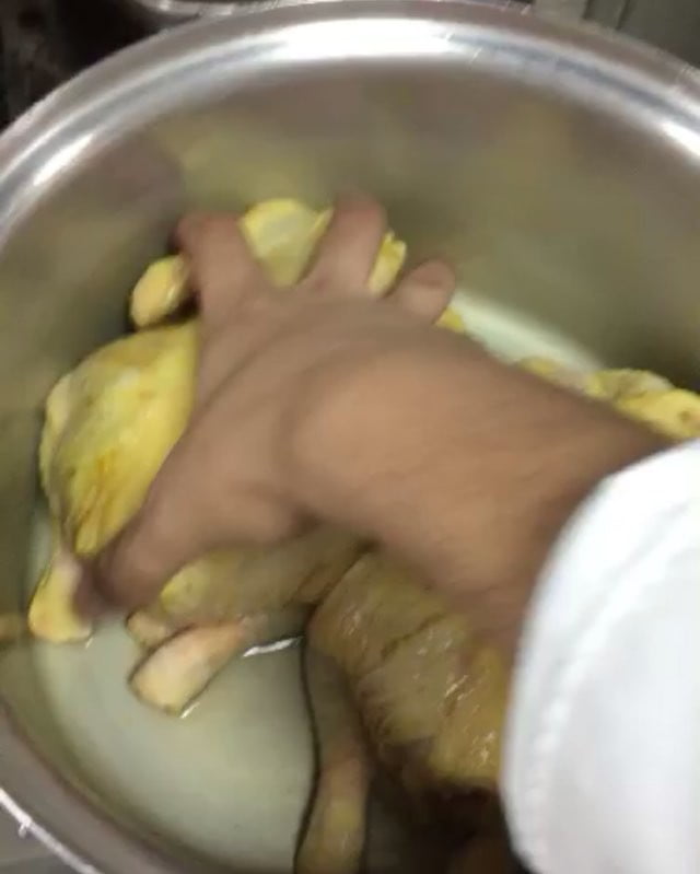 12357489 962434870501812 808803423 n