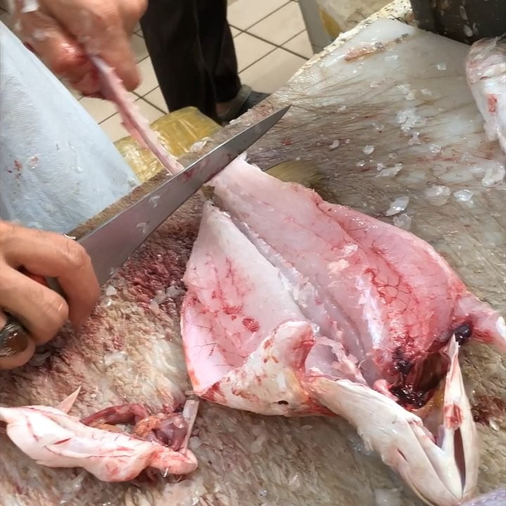 مساء الخير متابعيني الراقيين .
سمك مشوي عالفحم بورق الموز .
اليوم سمك تويبي اول