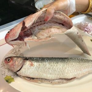 مطبق البياح