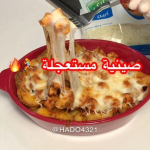 صينية الودجز بالدجاج