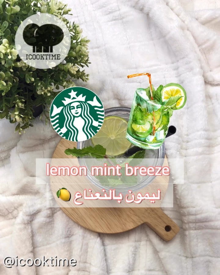 ليمون بالنعناع 5 69259125 144289690111573 1653548688402479969 n
