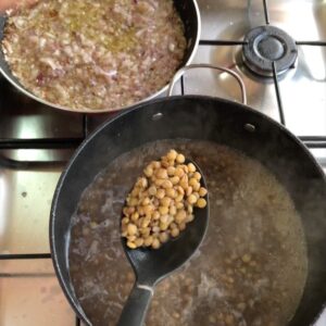 المجدره المصفايه