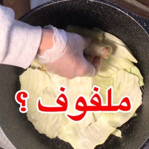 الملفوف