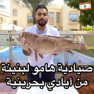صيادية هامور اللبنانية