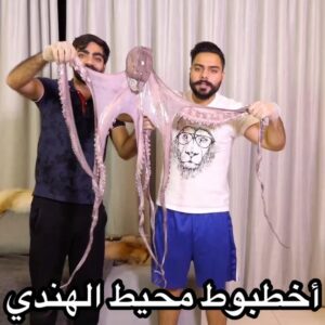 الأخطبوط