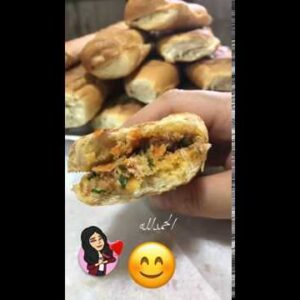 ساندوشتات تونه