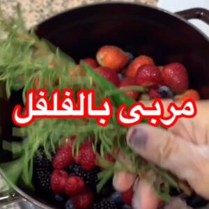 المربى