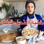 خلية النحل قطنه