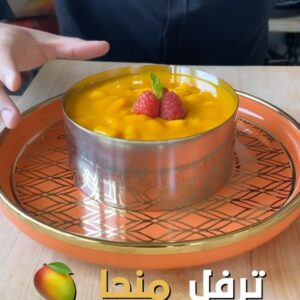 ترافيل منجا