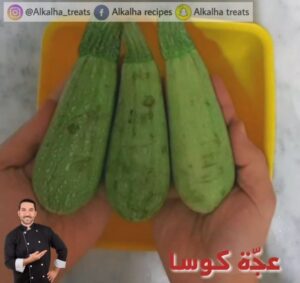 《عجة كوسا》 5 26155196 548232488858452 2199964781102759936 n