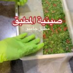 صينية المطبق