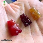 جمي بير للاطفال