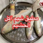 مطبق شيم