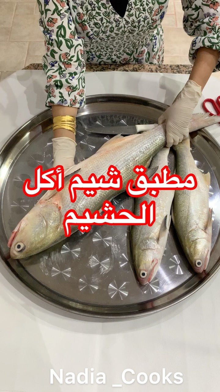 شوفو الفيديو للاخر واستمتعو بجمال الطبخة .
..
اليوم أحلى مطبق سويت واول مرا اسوي