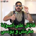 فلافل على أصوله