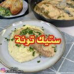 ستيك التونة