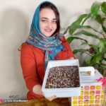 حلى الكب كيك