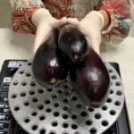معبوج باذنجان