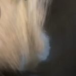 خليه البيتزا الشهيه