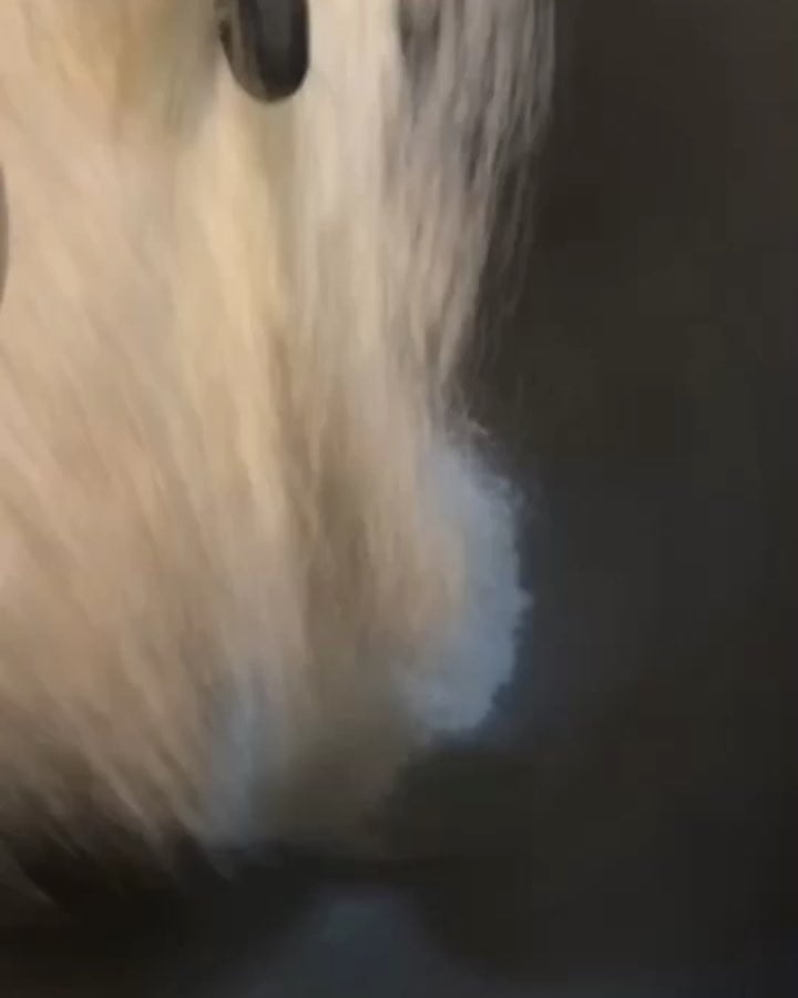 43778748 2221996531418102 6990787078740258636 n