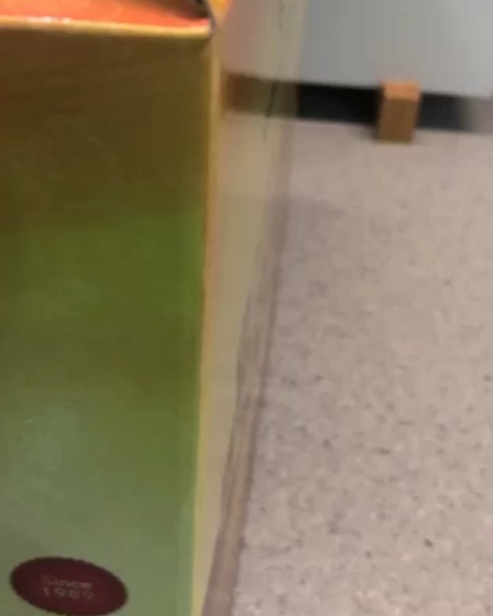 43817591 344738366090082 6485284296219929891 n