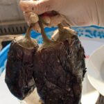متبل باذنجان وفلفل مشوي عالفحم