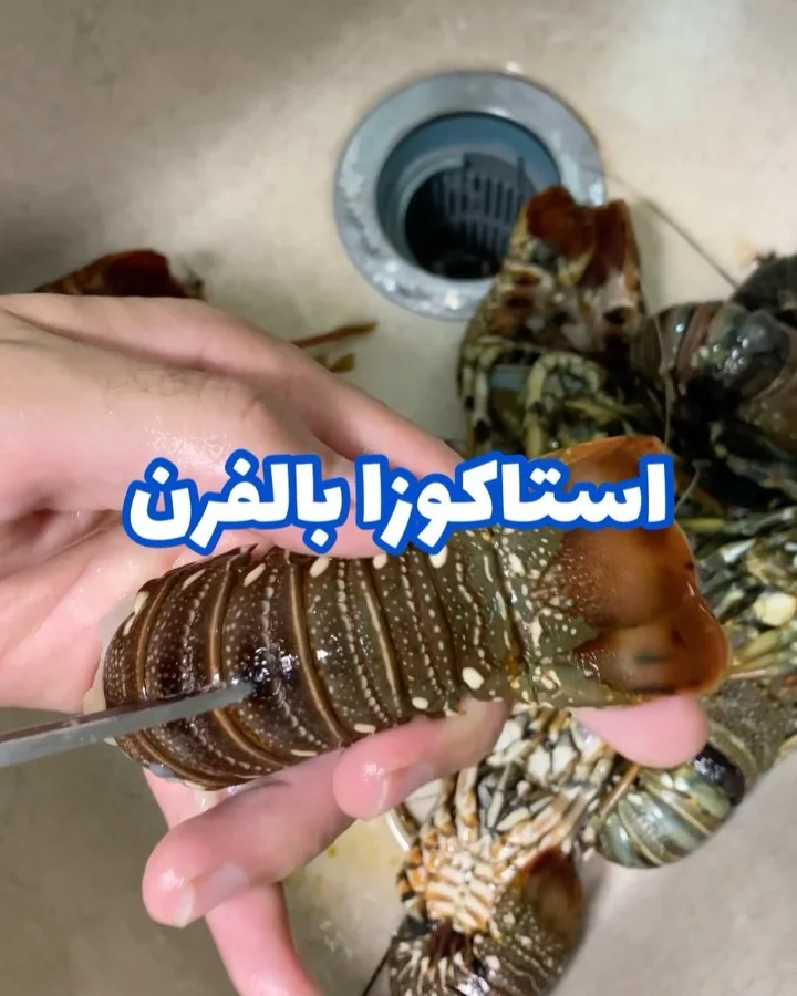 استاكوزا بالفرن