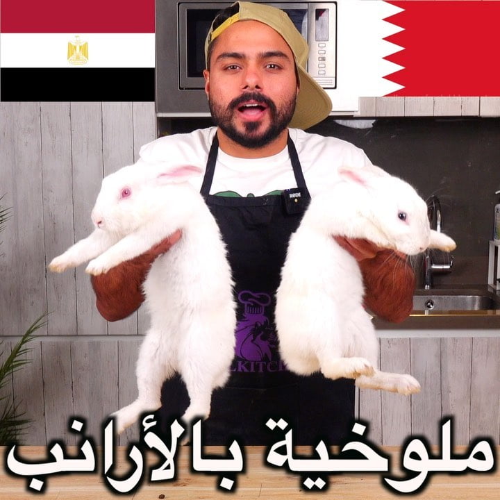 على أصوولوو او لا ملوخية الأرانب المصرية  ، وأي اغنية كارتون في الخلفية ؟ الفيدي
