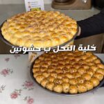 خلية النحل بحشوتين