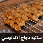 ساتي دجاج اندونيسي