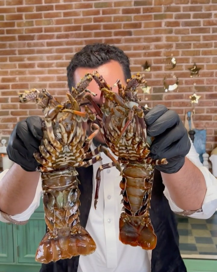 193240662 490411142224974 4584126953999087612 n