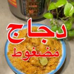 مضغوط دجاج