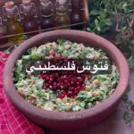 فتوش فلسطيني