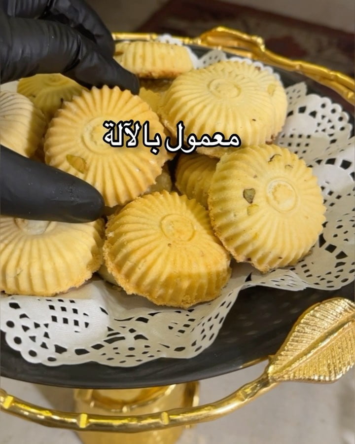 242503789 267572978429864 6174876526522302777 n
