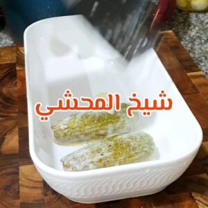 شيخ المحشي