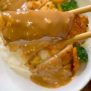Crispy Salty Breaded Katsu Chicken