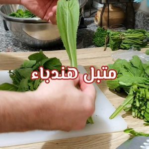متبل الهندباء