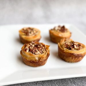 جلاش بالكاسترد والبيكان