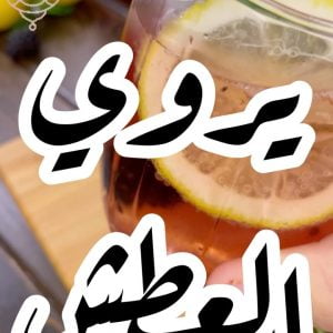 موهيتو توت بارد
