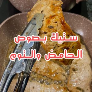 ستيك بصوص الحامض والتوم